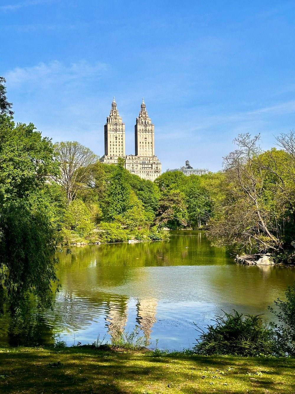 Central Park: Manhattan's Green Heart