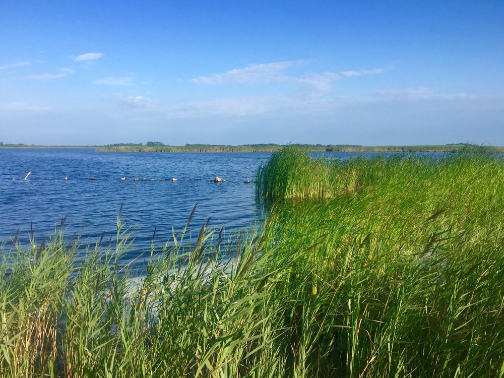 False Cape State Park: Virginia's Hidden Coastal Wilderness