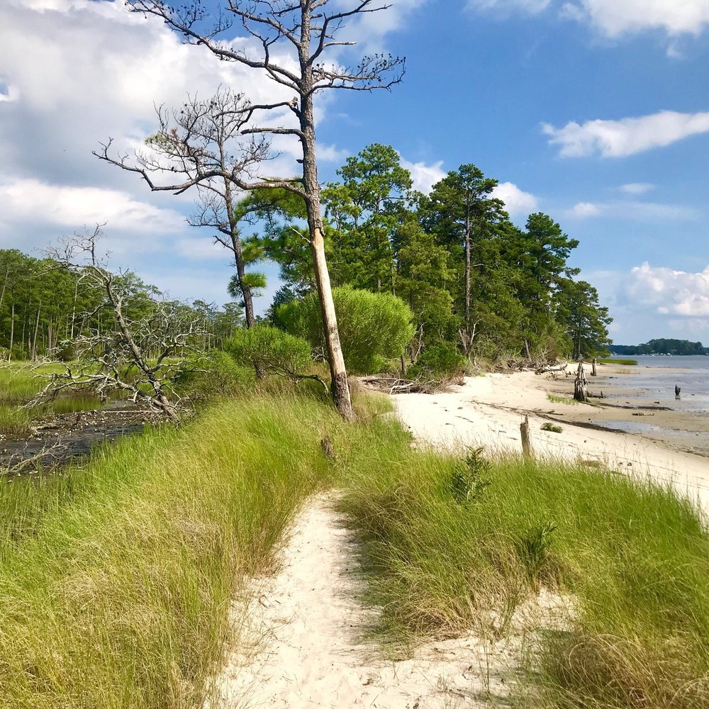 First Landing State Park: Where History Meets Wild Adventure