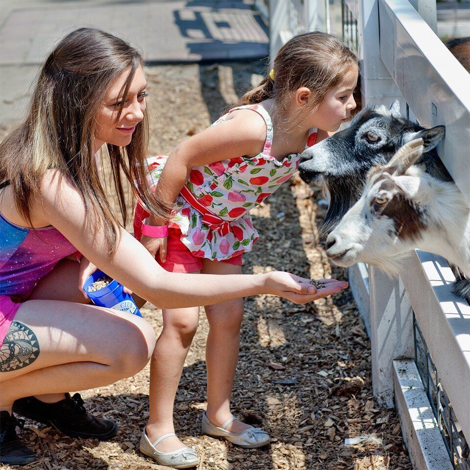 Hunt Club Farm: Where City Kids Meet Country Fun