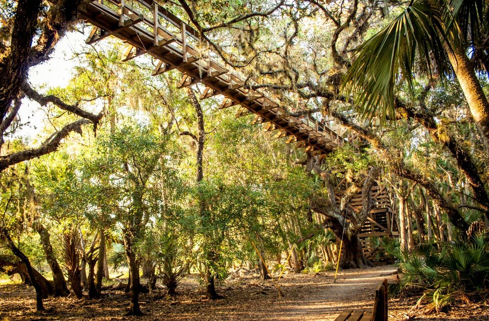 Myakka Canopy Walkway