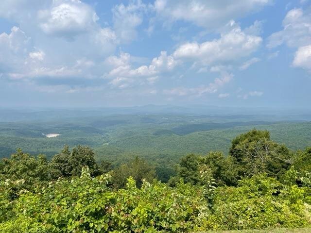 Ouachita National Forest