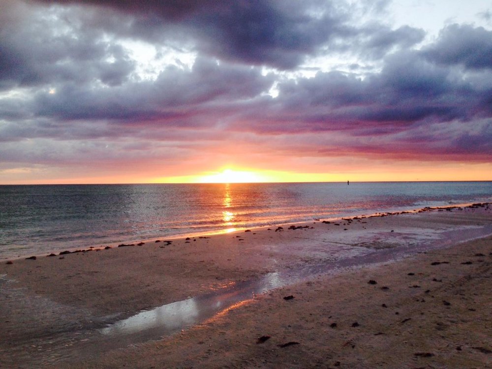 South Lido Park: Where Beach Bliss Meets Protected Paradise
