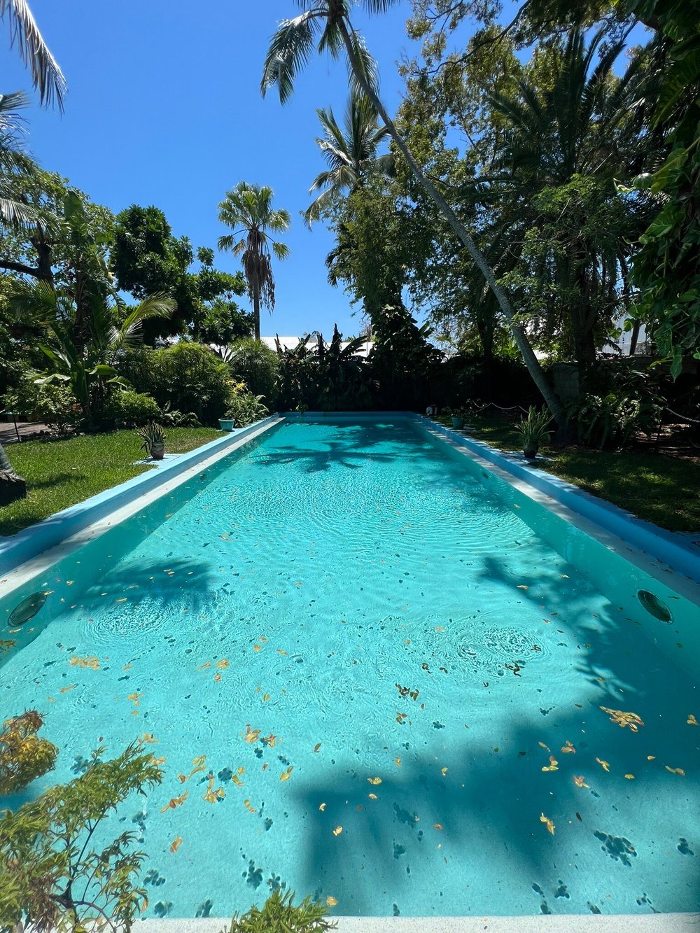 The Ernest Hemingway Home and Museum