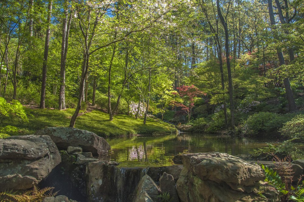 Garvan Woodland Gardens: Arkansas's Botanical Paradise