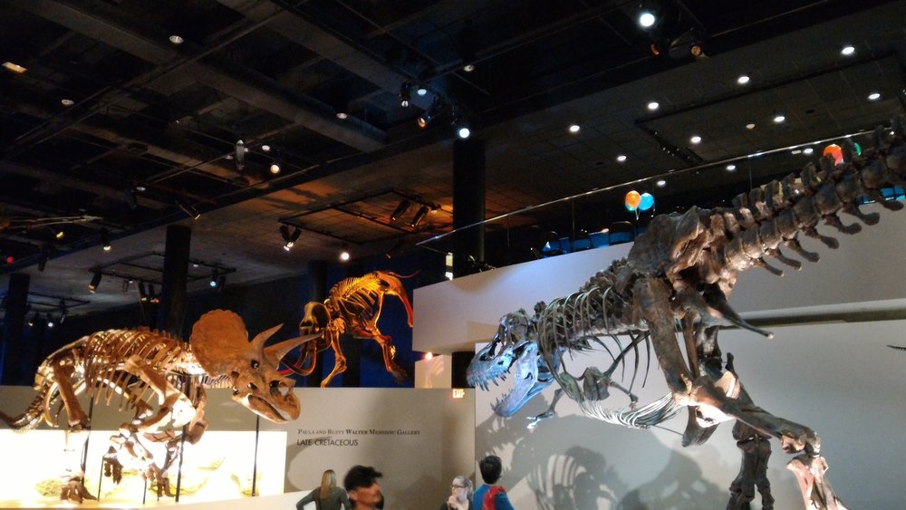 The Houston Museum of Natural Science