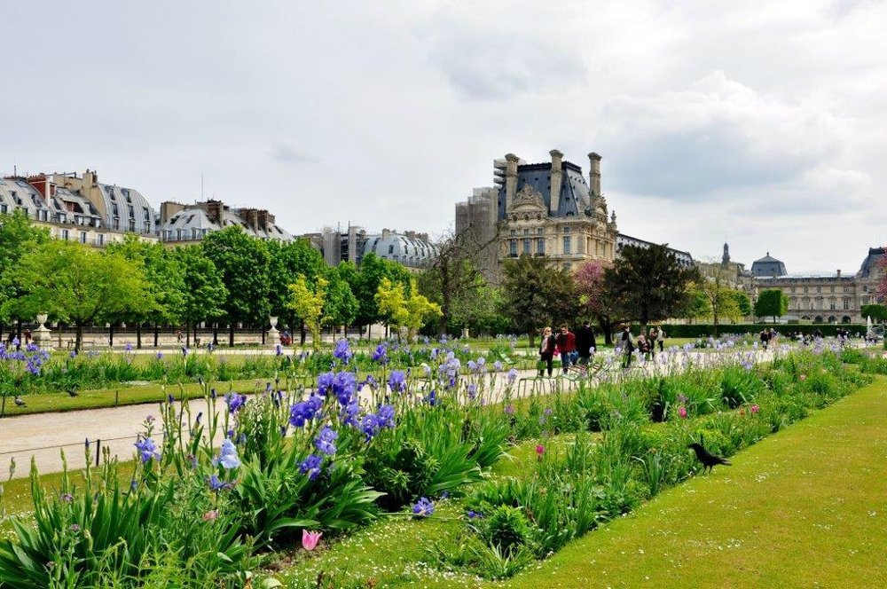 Jardin des Tuileries: Paris's Most Elegant Garden Escape