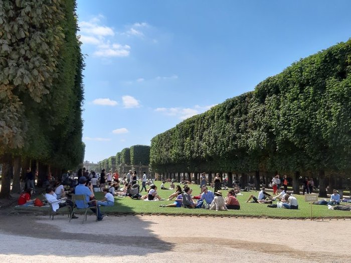 Luxembourg Gardens: Paris's Perfect Green Escape