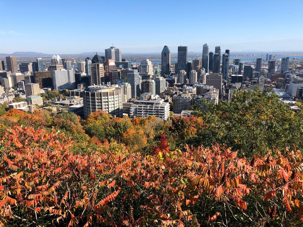 Mount Royal Park: Montreal's Crown Jewel