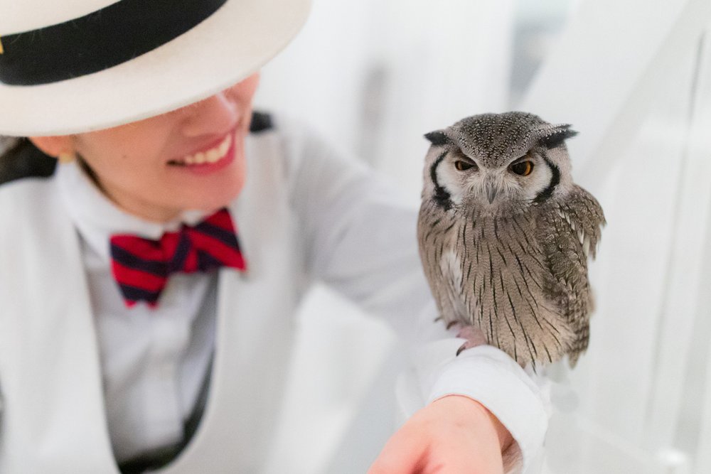 Owl Cafe Tokyo Akiba Fukurou