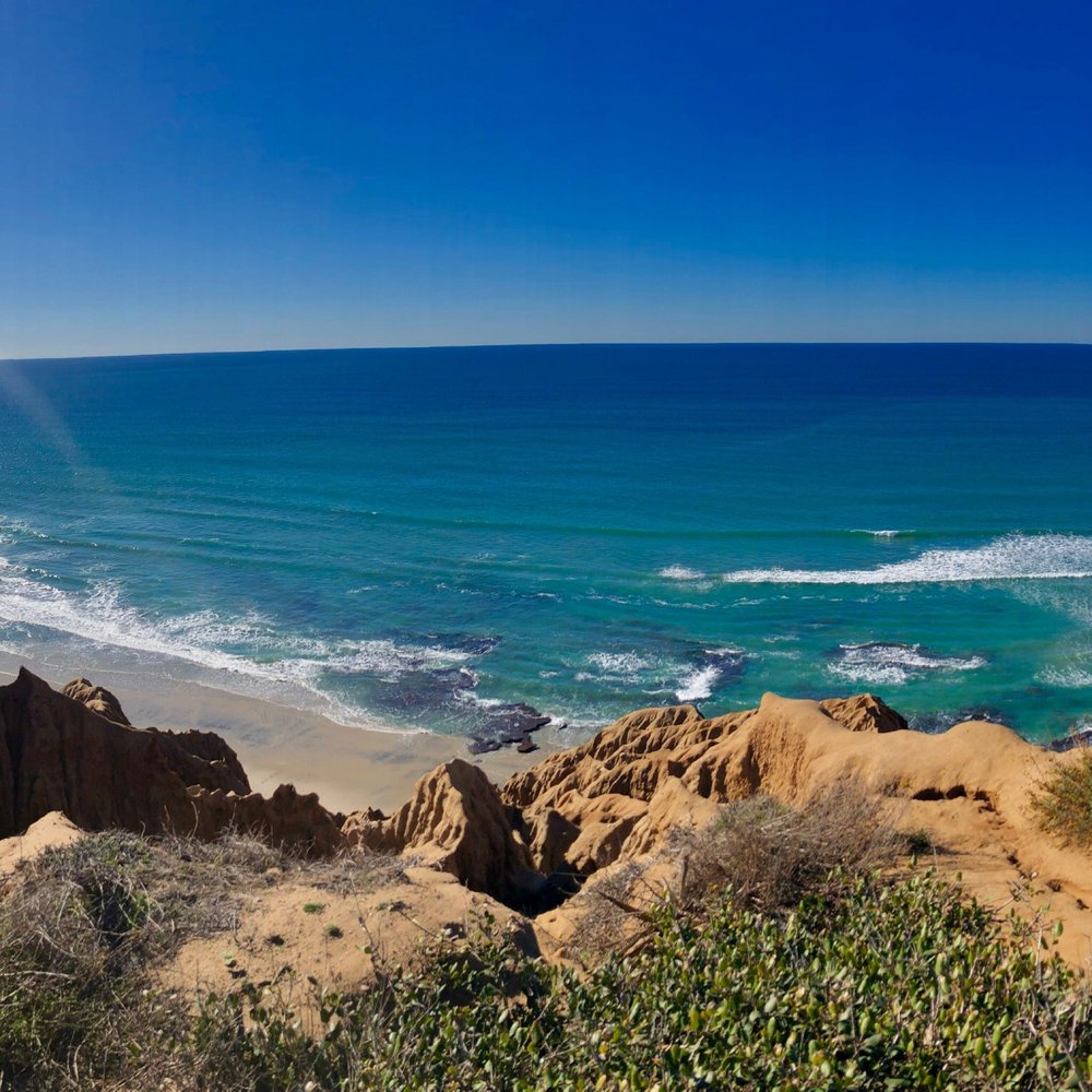 Torrey Pines State Natural Reserve: Where Wild Meets Wonderful
