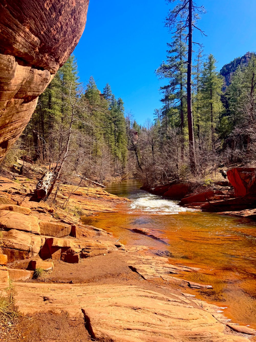 West Fork Oak Creek Trailhead