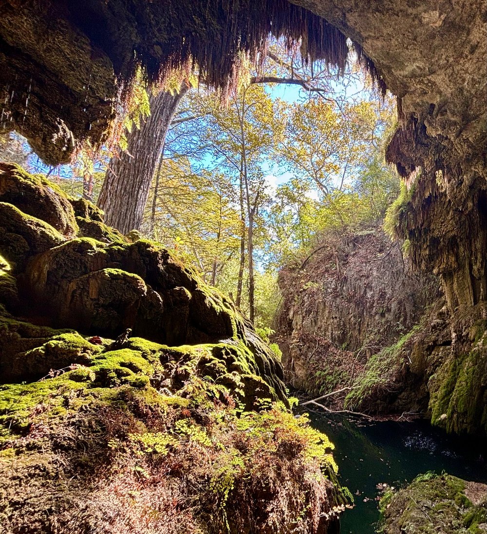 Westcave Outdoor Discovery Center