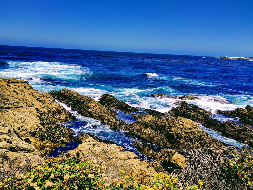 17-Mile Drive: Coastal Paradise Worth Every Penny