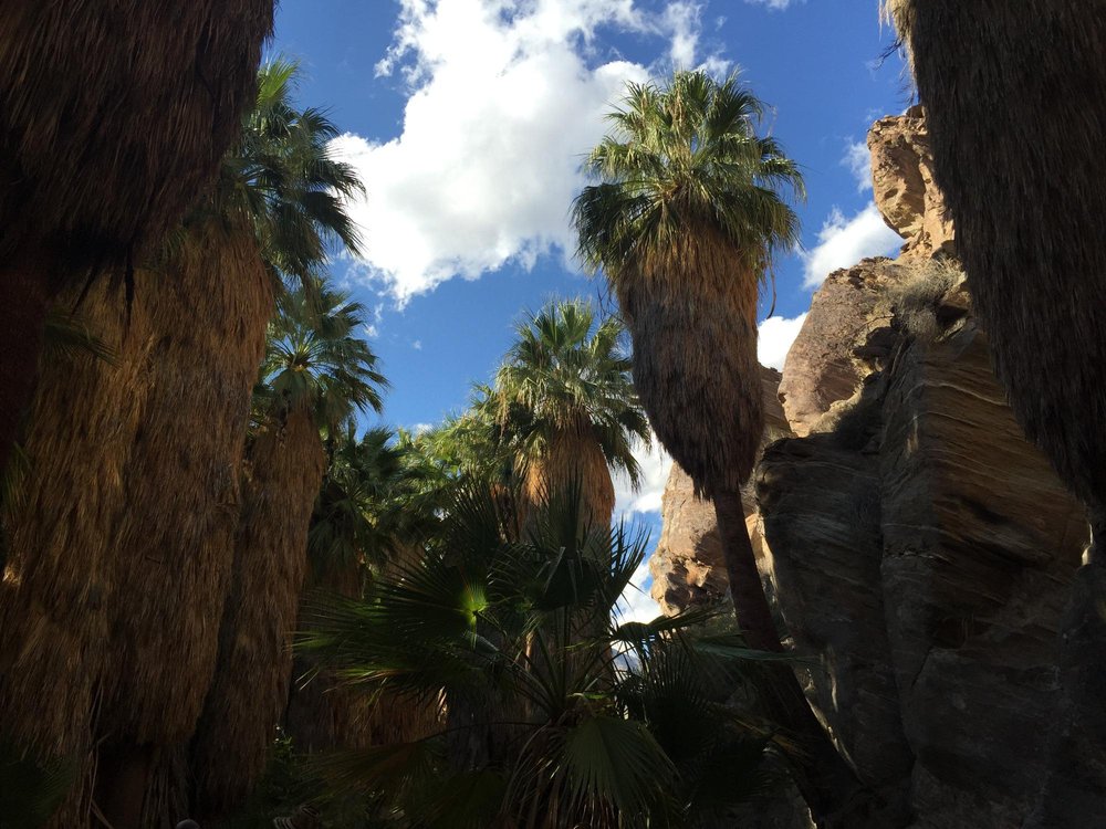 Agua Caliente Indian Canyons