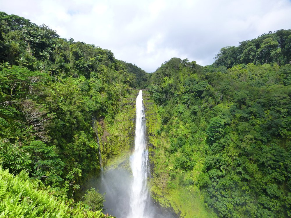 Akaka Falls State Park - Nature's Spectacular Show