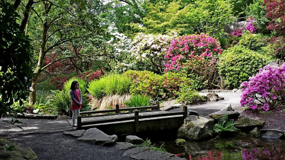 Crystal Springs Rhododendron Garden