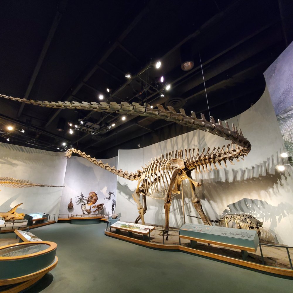 Denver Museum Of Nature & Science