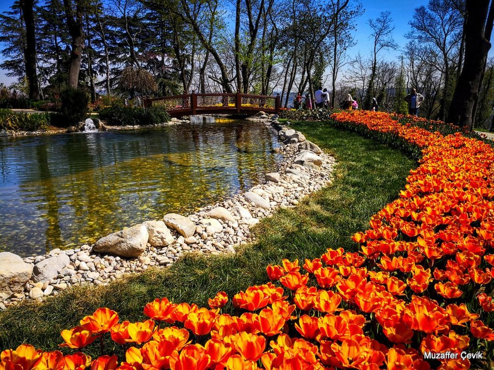 Emirgan Park: Istanbul's Green Oasis