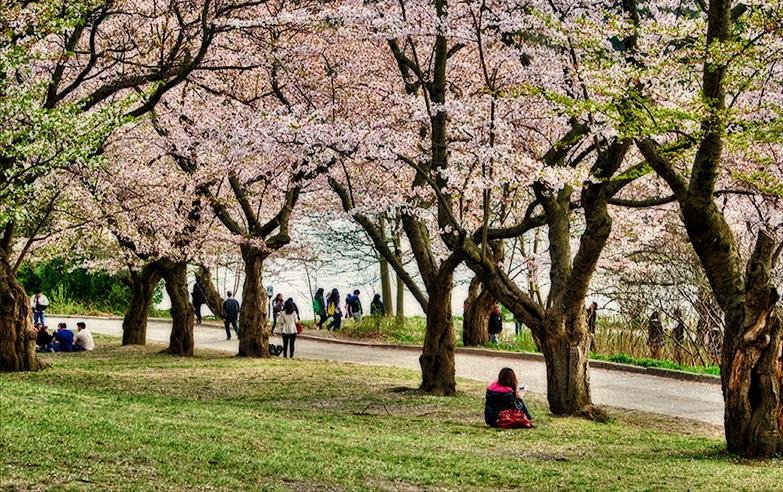High Park: Toronto's Green Playground