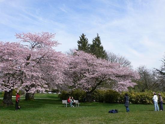 Queen Elizabeth Park: Vancouver's Sky-High Garden Paradise