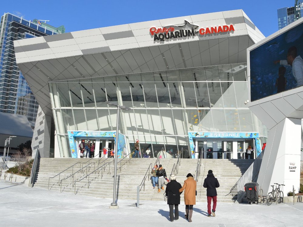 Ripley's Aquarium of Canada - Dive Into Toronto's Underwater Wonder