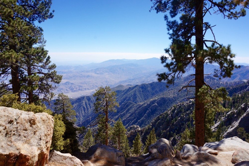 San Jacinto Mountain: Palm Springs' Sky-High Adventure
