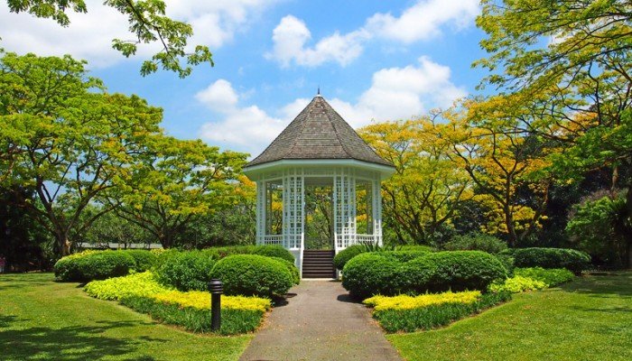 Singapore Botanic Gardens: A Green Paradise in the City
