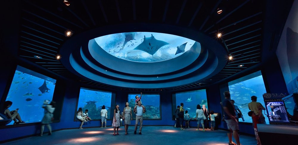 Singapore Oceanarium: Dive Deep into Marine Wonders