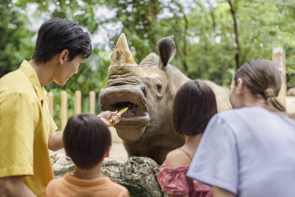 Singapore Zoo: Wild Adventures in the Heart of the City