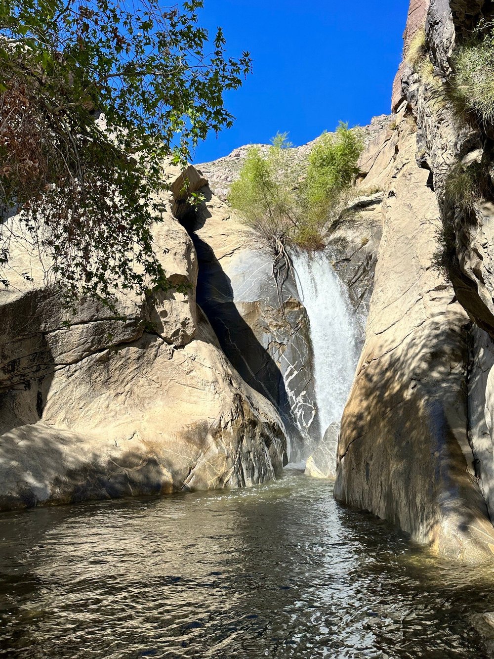 Tahquitz Canyon: Desert Oasis Adventure