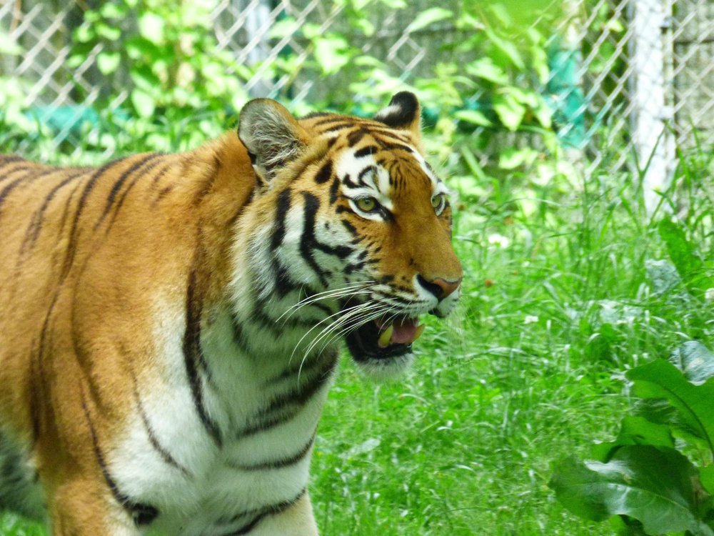 Tierpark Hellabrunn