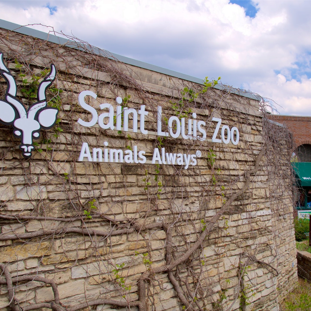 Top 20 Attractions You Can’t Miss in St. Louis, Missouri - XIMGO